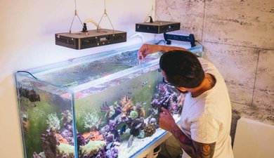 About Me - My Aquarium