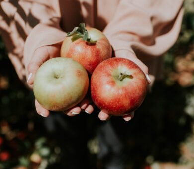 Hände halten drei Äpfel
