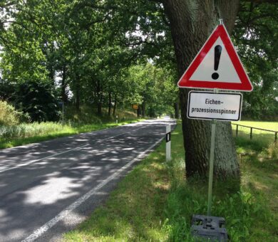 Warnschild mit der Aufschrift Eichenprozessionsspinner