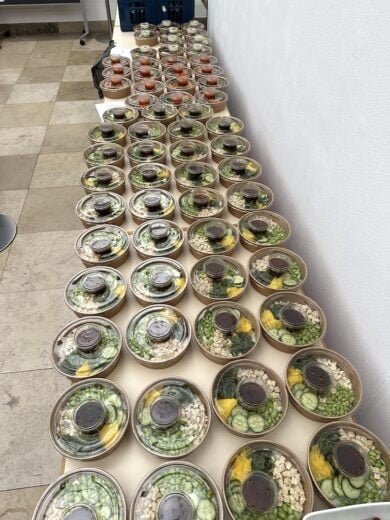 Bowls um Mittagessen