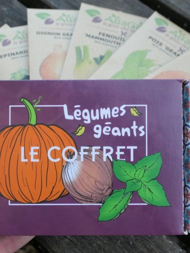 Coffret Légumes géants (6 variétés de concours)