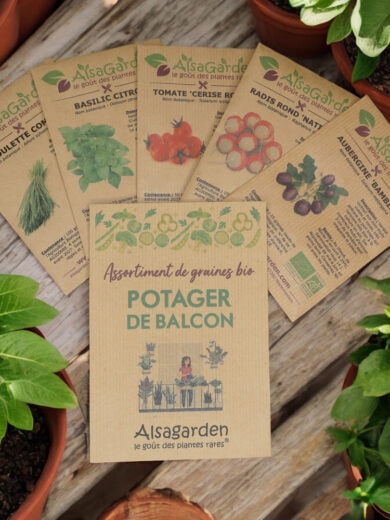 Assortiment Potager de Balcon (5 Variétés de graines BIO)