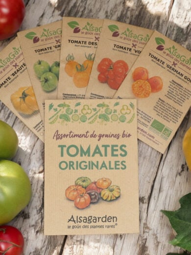 Assortiment Tomates originales (5 Variétés de graines BIO)