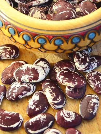 Haricot de Lima 'Christmas' (Phaseolus lunatus) Graines