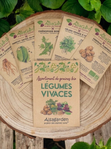 Assortiment Légumes Vivaces (5 Variétés de graines BIO)