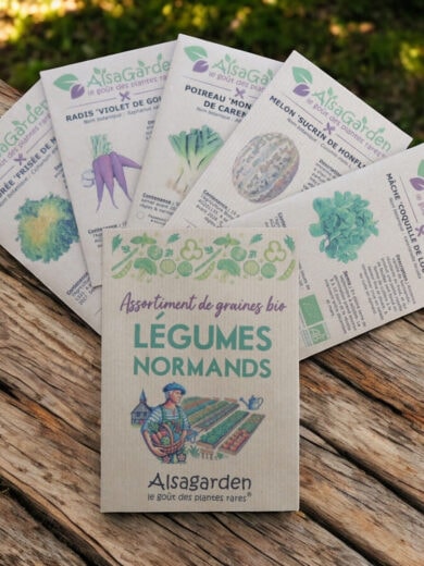 Assortiment Légumes Normands (5 Variétés de graines BIO)