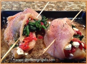 Chicken - skewered 2