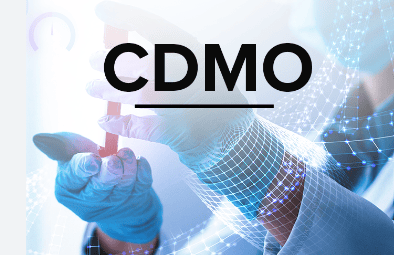 CDMO vendor selection and qualification process