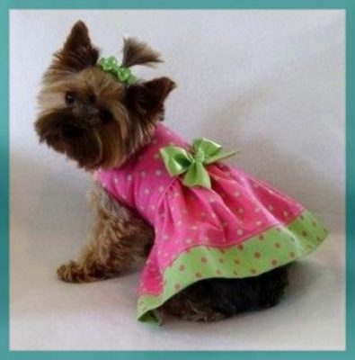 moldes de vestidos para perritas pequeñas