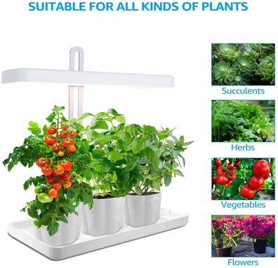 TORCHSTAR Indoor Garden Kit TORCHSTAR Indoor Garden Kit