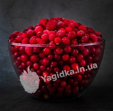 Смородина червона
