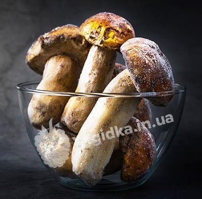 Гриб белый 1 сорт
