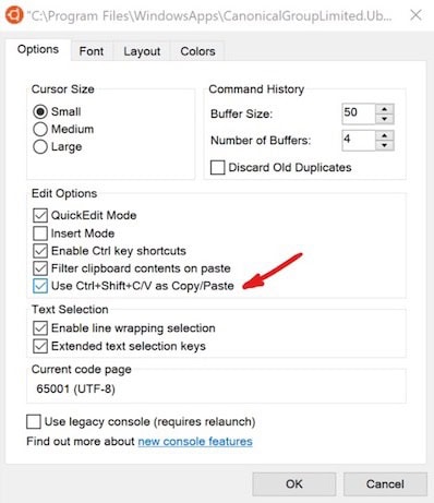 How to Enable CtrlC CtrlV in Command Prompt