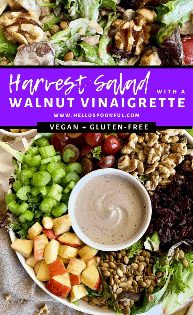 Simple Harvest Salad with a Vegan and Gluten-Free Creamy Walnut Vinaigrette