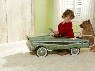 Build with pets in mind