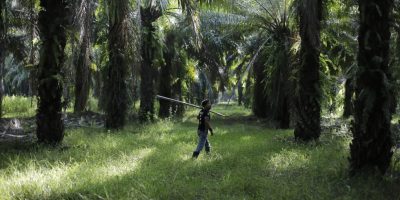 Tomada de: Contracorriente Honduras