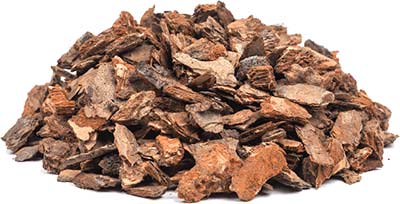 Maritime Pine Bark Extract