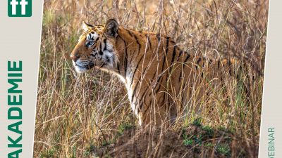 Monat der Naturfotografie - Thorge Berger - Wild World India
