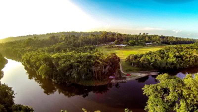 Lush forests and jungle lodges