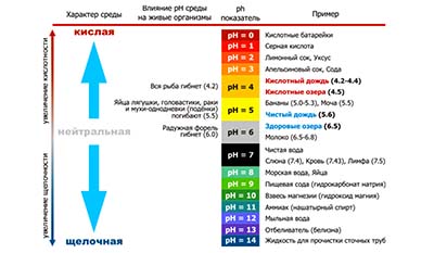 Разница между рН и Титруемой кислотностью