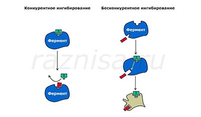Разница между Катализатором и Ингибитором