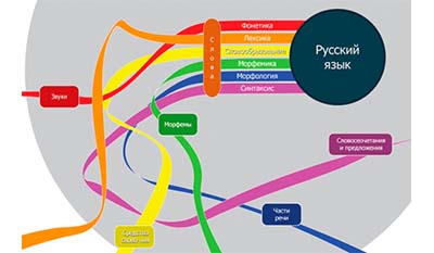Разница между Традиционной грамматикой и Современной лингвистикой