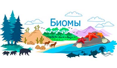 Разница между Наземными и Водными биомами