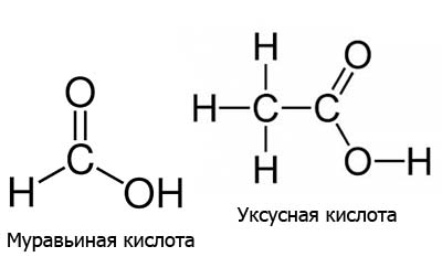 Разница между Муравьиной и Уксусной кислотой
