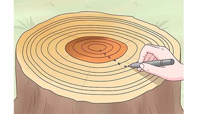 Неопрен или лайкра что лучше. Смотреть фото Неопрен или лайкра что лучше. Смотреть картинку Неопрен или лайкра что лучше. Картинка про Неопрен или лайкра что лучше. Фото Неопрен или лайкра что лучше