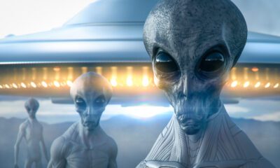 AdobeStock 419325143