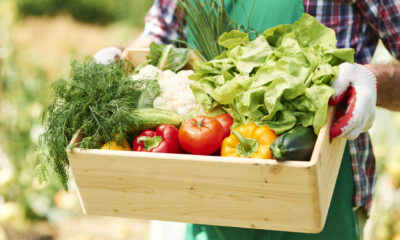 7 Vegetables to Grow Easily in Your Home Garden