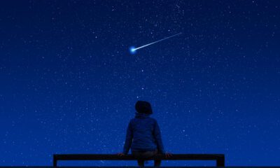 AdobeStock 365087112