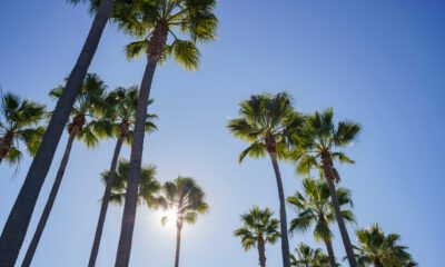 AdobeStock 191832746