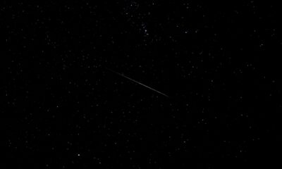 dark starry sky. Shooting Stars Tonight