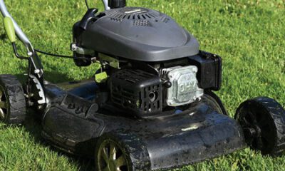 it’s important to begin preparing your yard for a healthy growing season