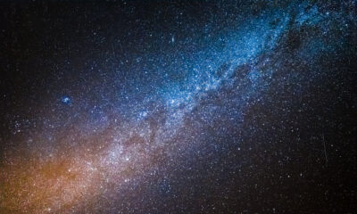 AdobeStock 190848037