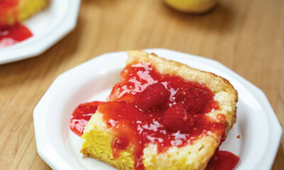 17454 lemon cake intro image