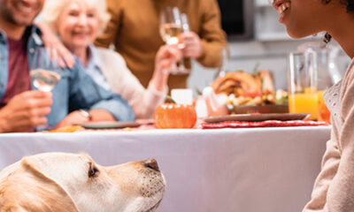 17698 intro images 1