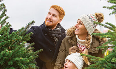 17710 Live Christmas image intro