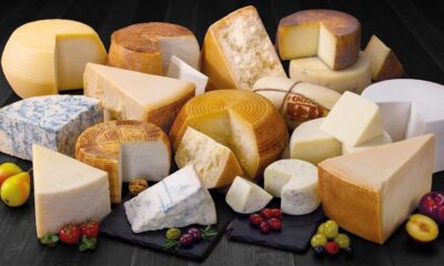 European Cheese Quality Photo