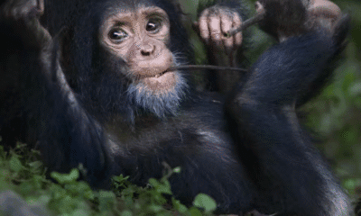 Screen Shot 2025 12 13 at 8.26.05 AM