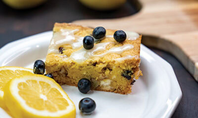 17782 Lemon Blueberry Bars intro
