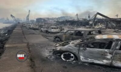 Wildfires Devastate Maui Hawaii Killing 36