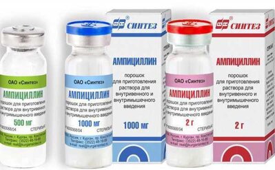 Разница между Бактериоцином и Антибиотиком 3 Ампициллин