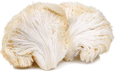 Lion's Mane Mushroom