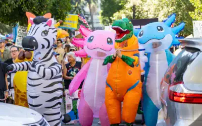 The Serious Work of Being Silly