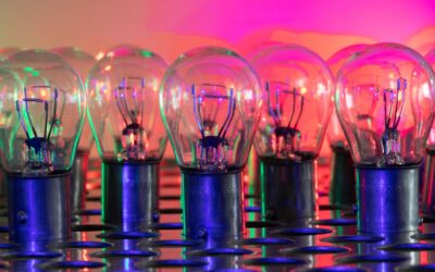 How Evaluators Assess Innovation in Tenders
