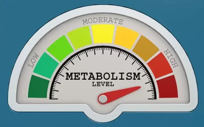 Metabolic Flexibility Coaching: Burn Fat, Perform Better