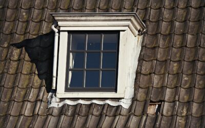 5 Reasons to Hire Dryman Restoration for Your Roofing Services Needs
