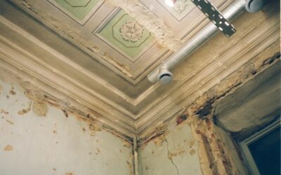 Mold Remediation in Texas: Addressing Black Mold and Exposure Symptoms